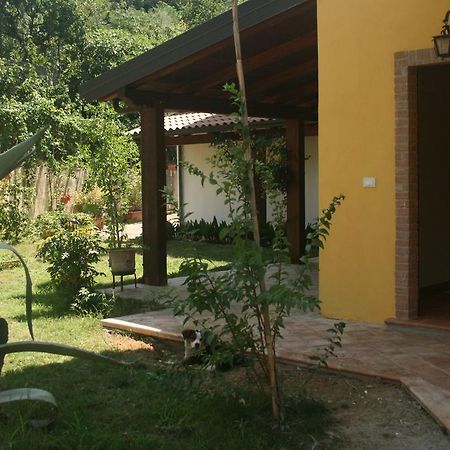 B&B Del Castagneto San Marco Argentano Exterior photo
